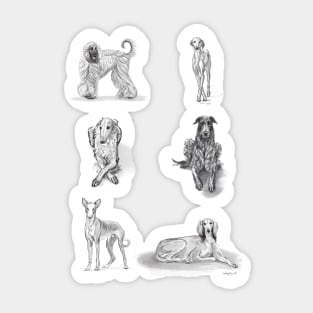 Sighthounds Sticker